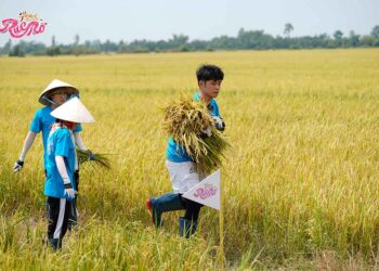 Hành Trình Rực Rỡ tập 7: “báo thủ” mới Gin Tuấn Kiệt bị Puka xài xể?
