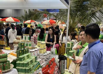 Người dân được dịp mua sắp thả ga tại hội chợ hàng Việt Nam tiêu biểu xuất khẩu
